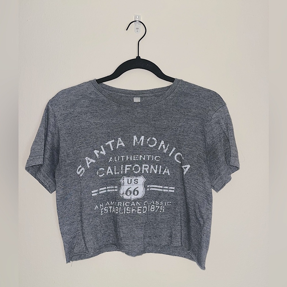 Gray Santa Monica Graphic Crop Top